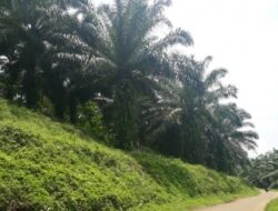 Apresiasi Raperda Tanah Telantar Sukabumi, Korsa Cikidang dan Aktivis Desak Pelibatan Publik demi Keadilan Agraria
